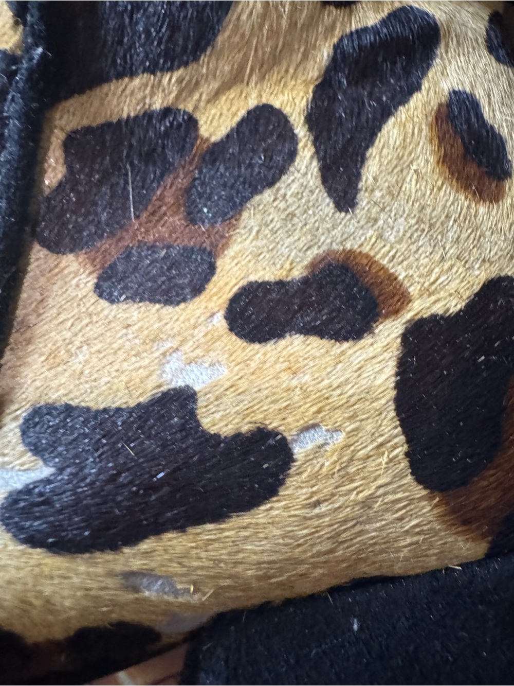 Schutz Leopard Print Calf-hair Side-Zip Ankle Booties NWOT — No Box — Size 6B - Picture 13 of 16